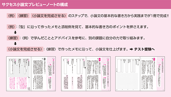 21年度 サクセス小論文テスト 桐原書店