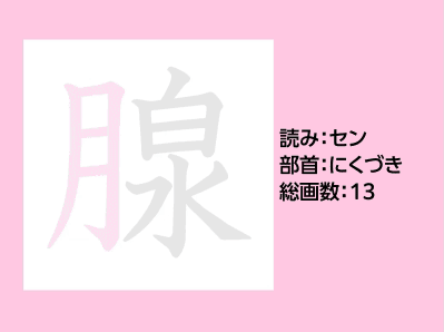 腺