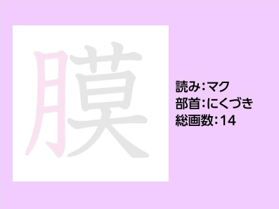 膜