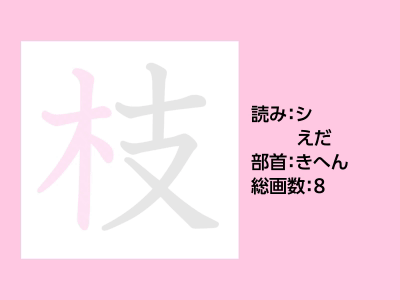枝